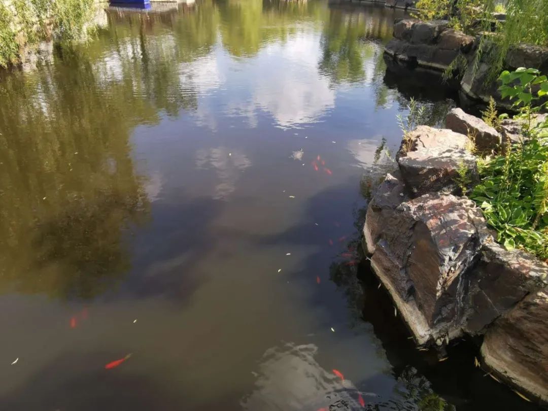 “寻找秋天的明信片”中软卓越风采杯摄影大赛启动